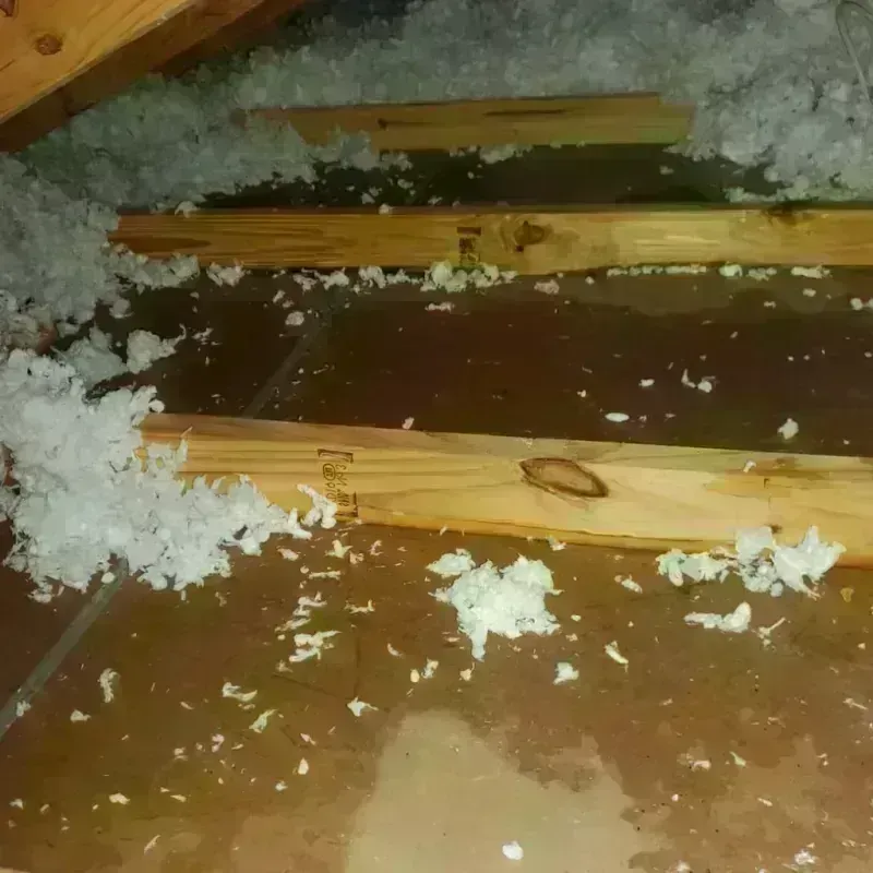 Attic Water Damage in Polk County, GA