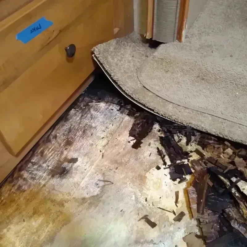 Wood Floor Water Damage in Polk County, GA